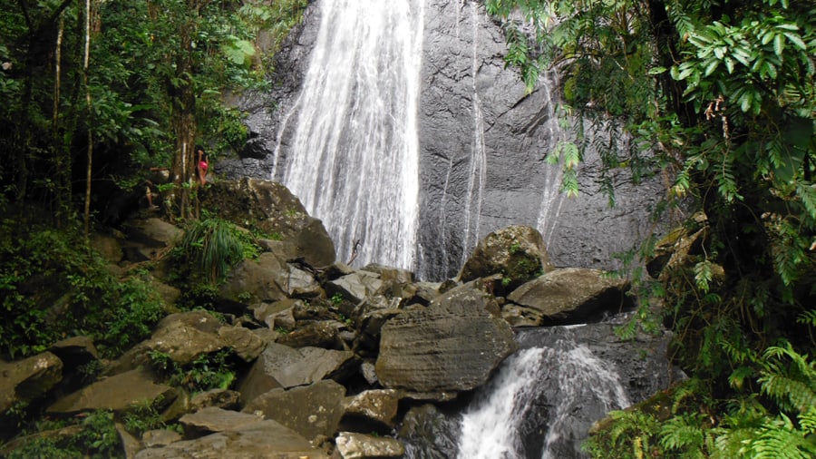La Coco falls san jose Puerto rico