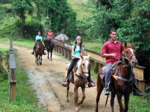 Puerto rico horseback Riding excursion