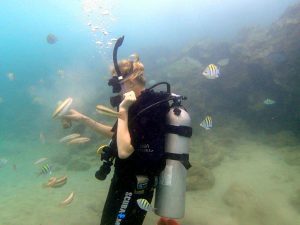 puerto rico discover diving