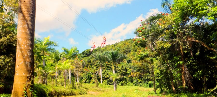 san juan canopy zip line excursion