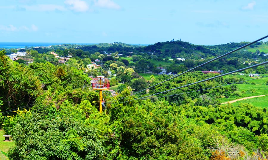 san juan canopy zip line excursion puerto rico